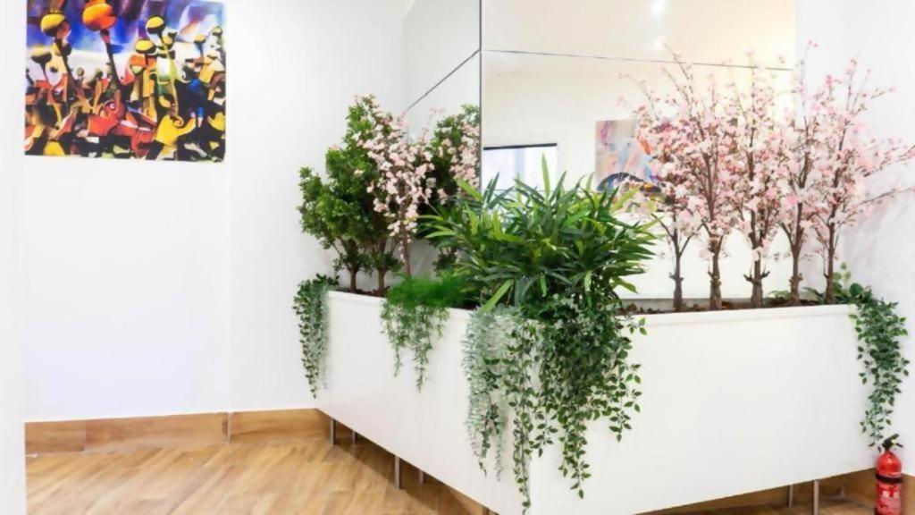 Ilustre Rooms 말라가 객실 사진